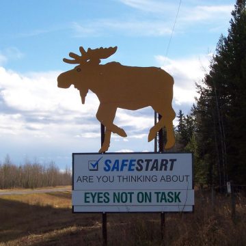 Moose Billboard