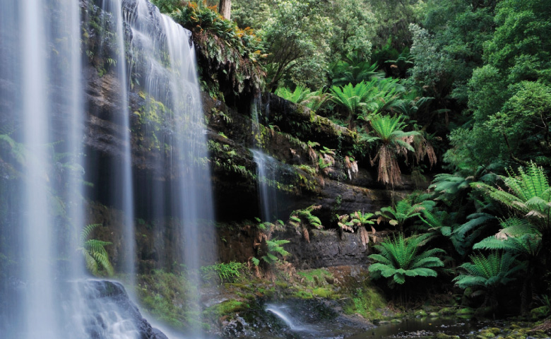 Ku Ring Gai Council Safestart